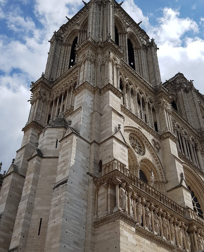 巴黎圣母院景点图片