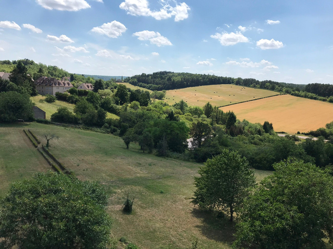 Hotel de la Poste et du Lion d'Or主图