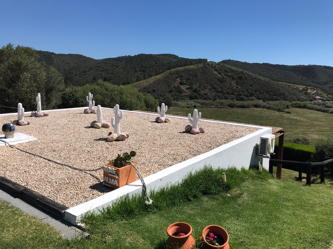 Monte do Sapeiro主图