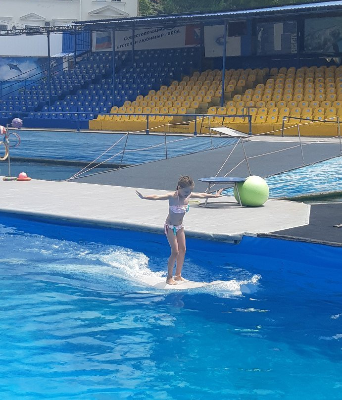 Sevastopol Dolphinarium in Artillery Bay-塞瓦斯托波尔必去景点