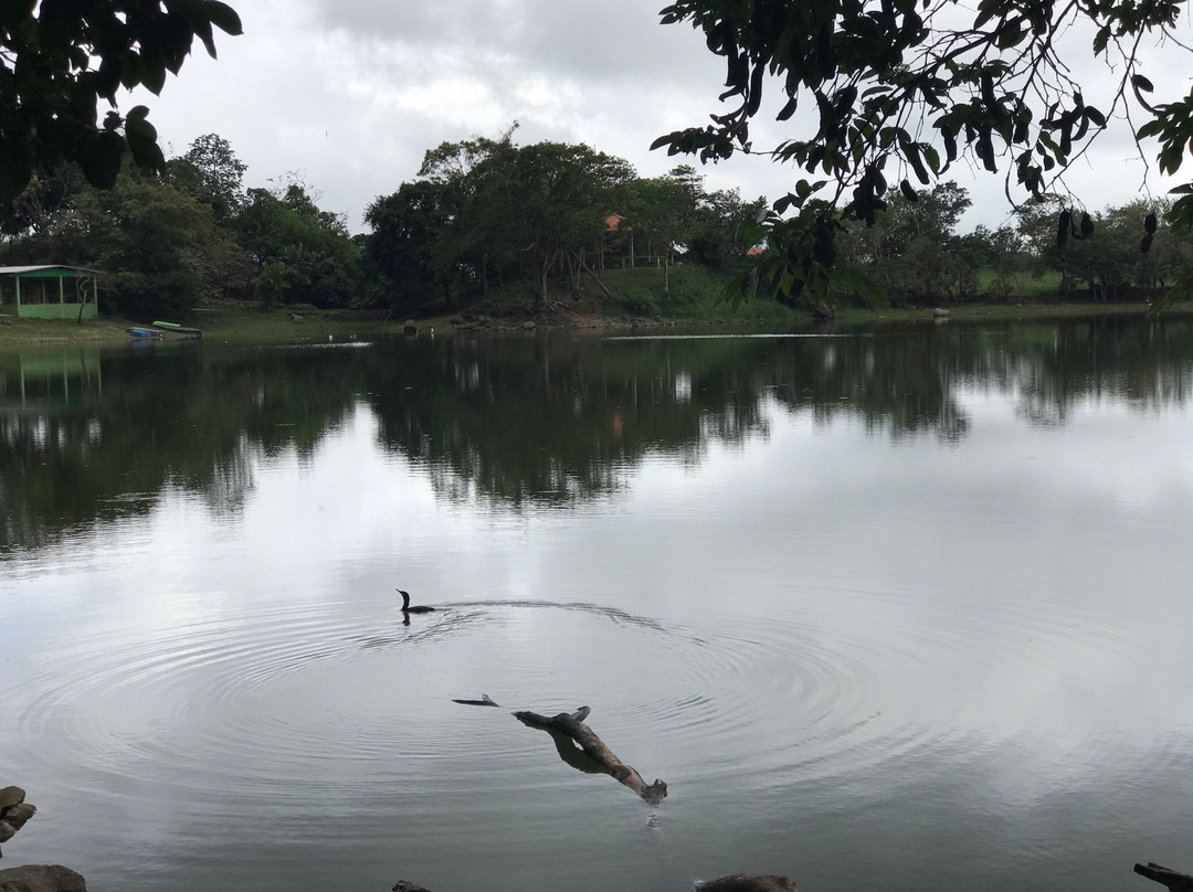Laguna de San Carlos景点图片