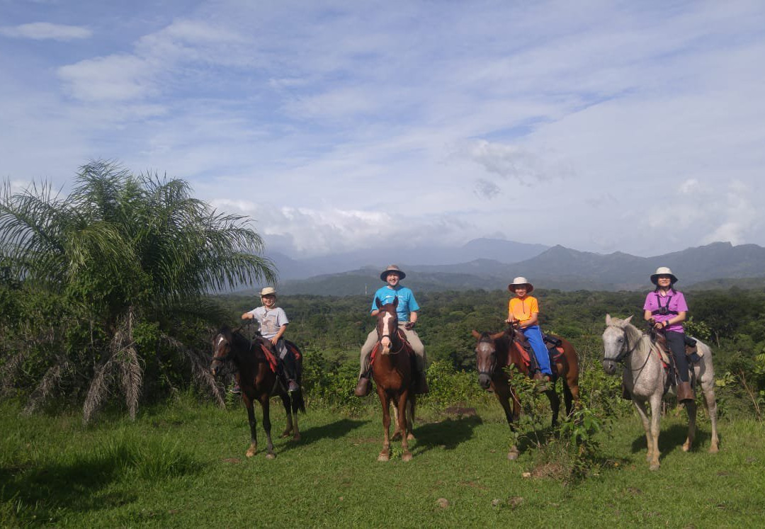 Franklin's Horseback Riding景点图片
