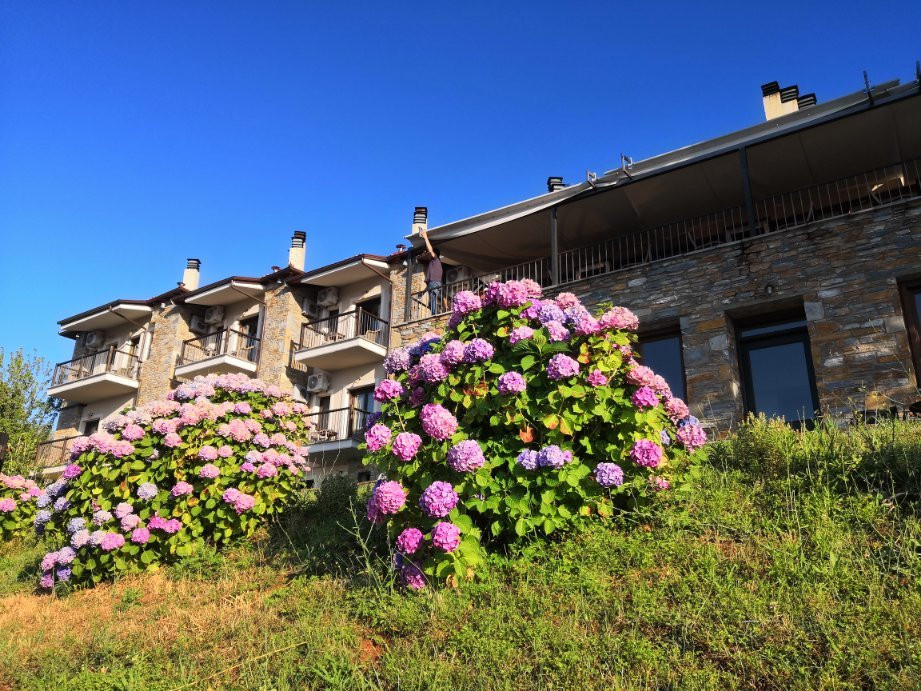 Dohos Hotel Experience主图