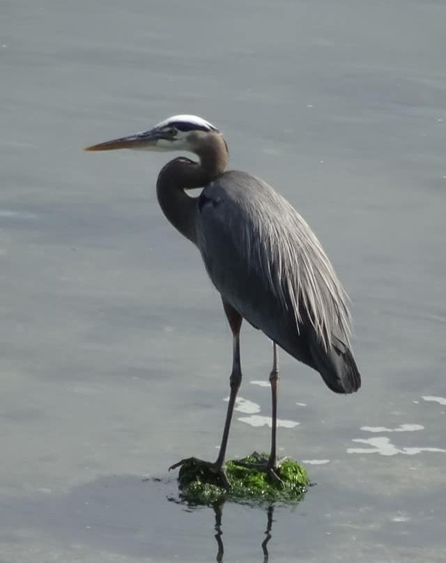 Grandview Gardens Bed and Breakfast主图