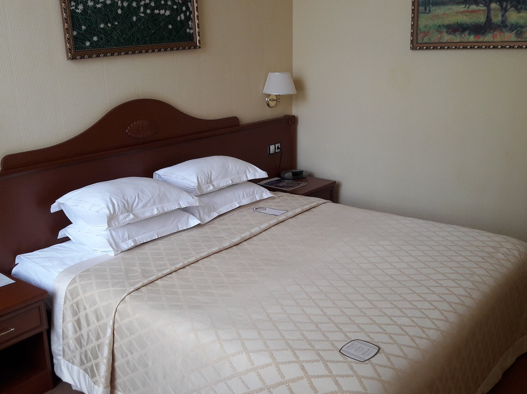 Aurora Hotel主图