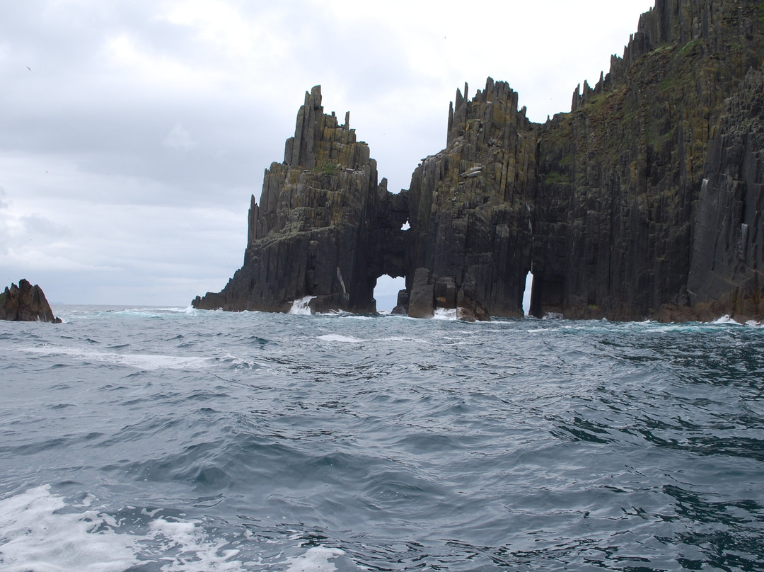 Blasket Islands Eco Marine Tours景点图片