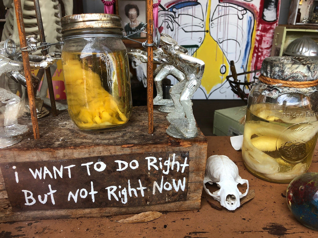 Drive Through Museum-Seale必去景点