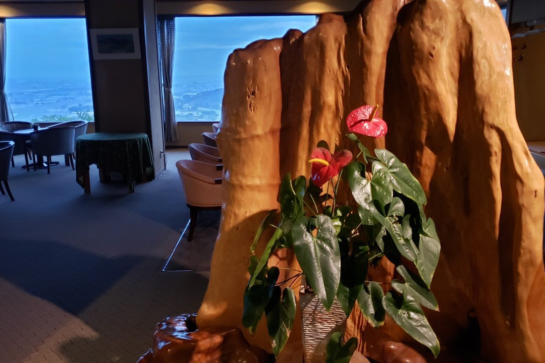 View Hotel Heisei主图