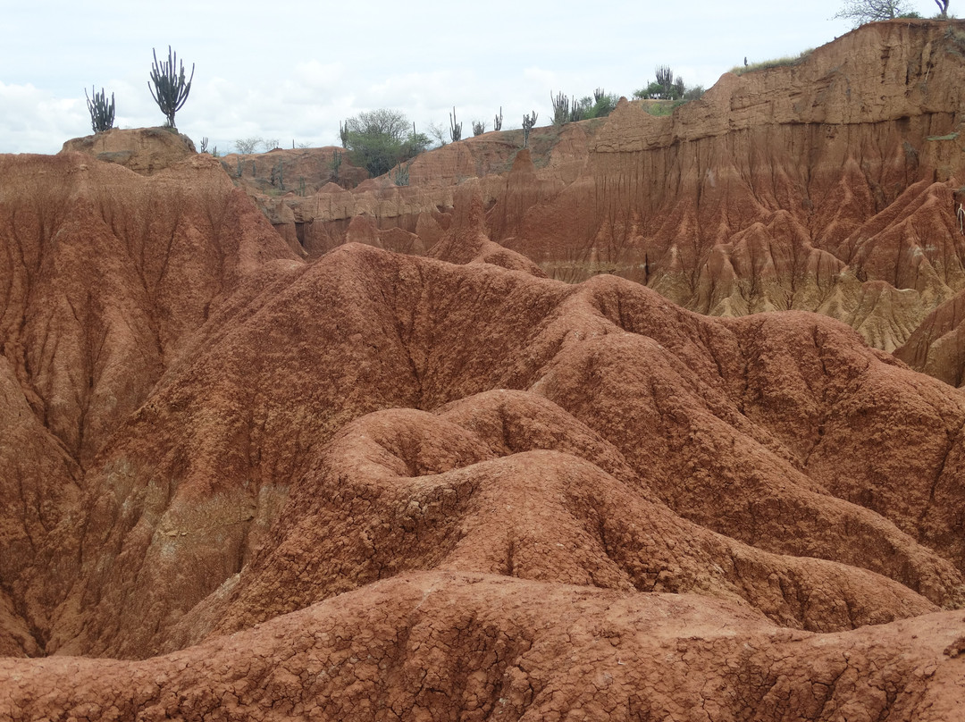 Desierto de la Tatacoa景点图片