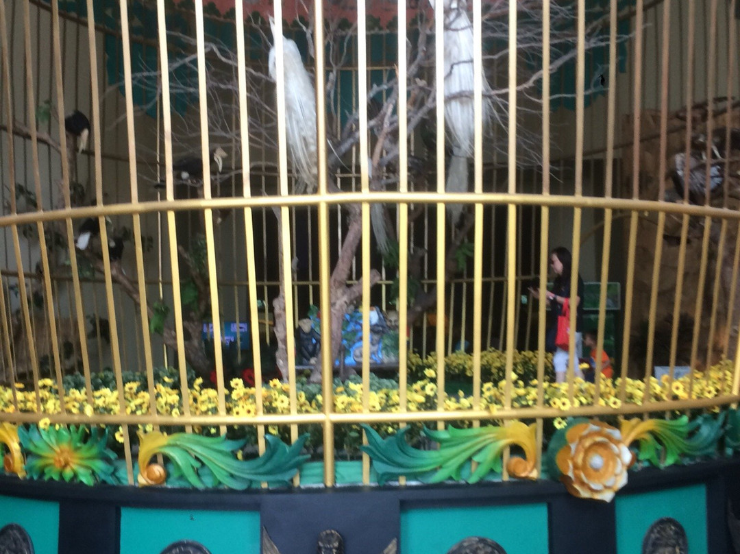 Wildlife Museum-巴图必去景点