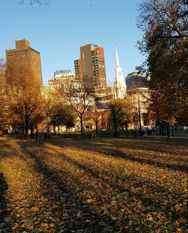 波士顿广场景点图片
