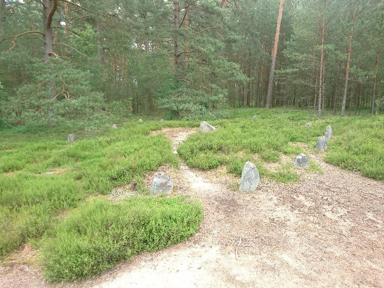 Rezerwat przyrody Kręgi Kamienne景点图片