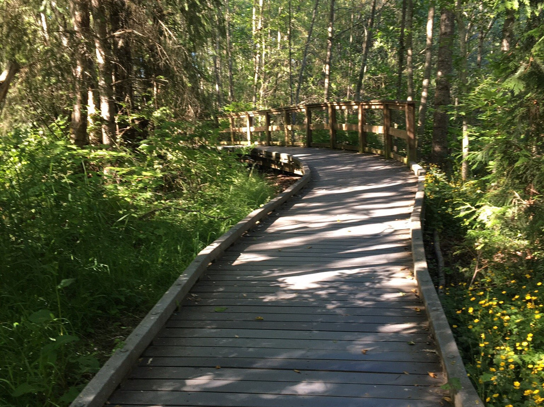 Narbeck Wetland Sanctuary Park景点图片