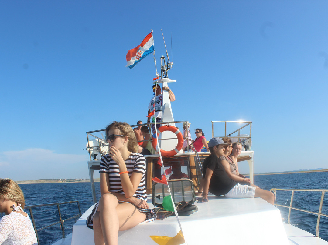 Amore Boat Excursion景点图片