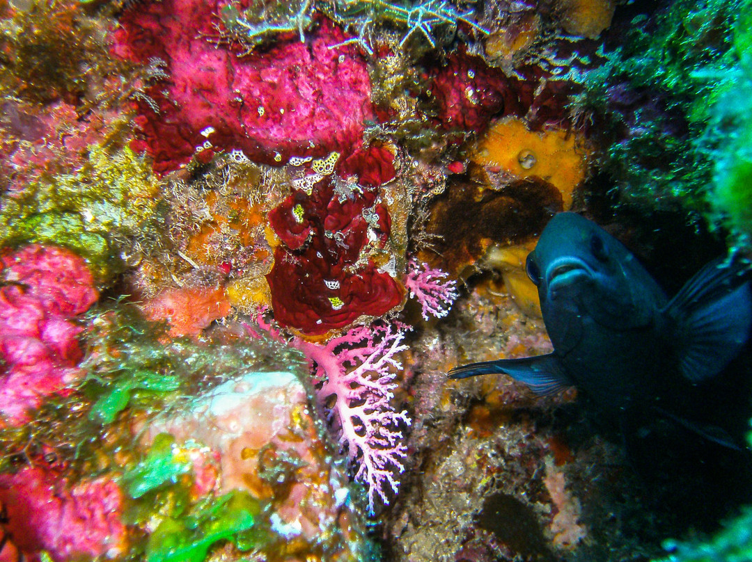 Las Galeras Divers-Las Galeras必去景点