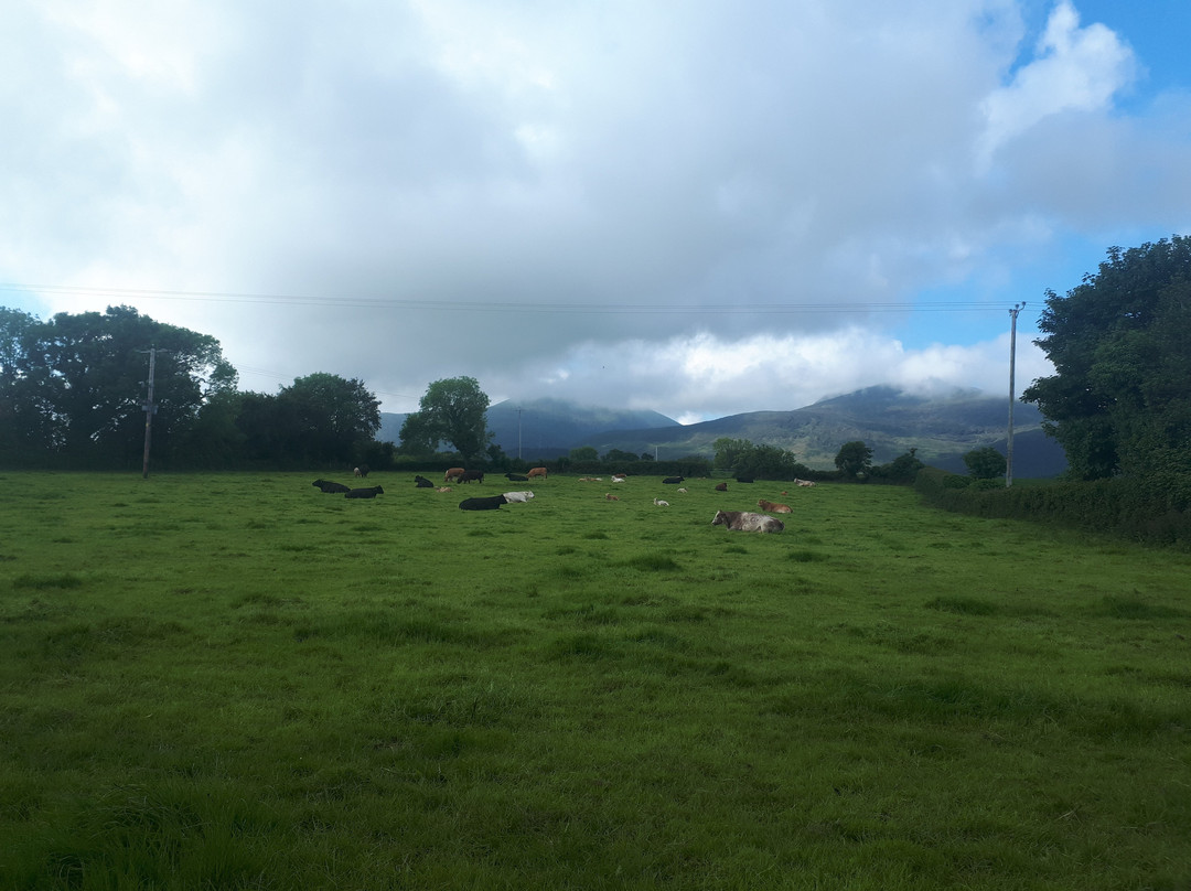 Oakleigh House主图