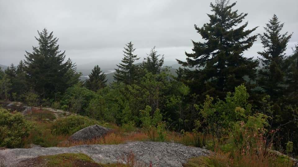 Coney Mountain Trail景点图片