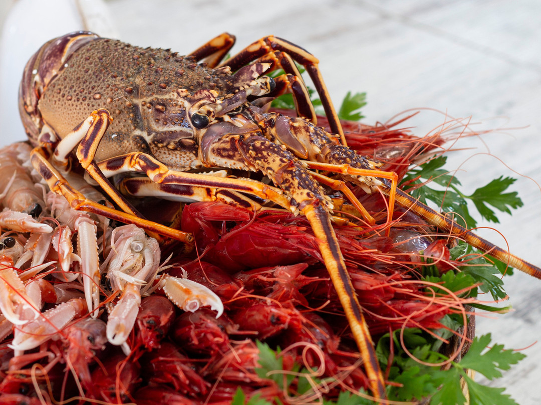 Amarè - La bottega del pesce
