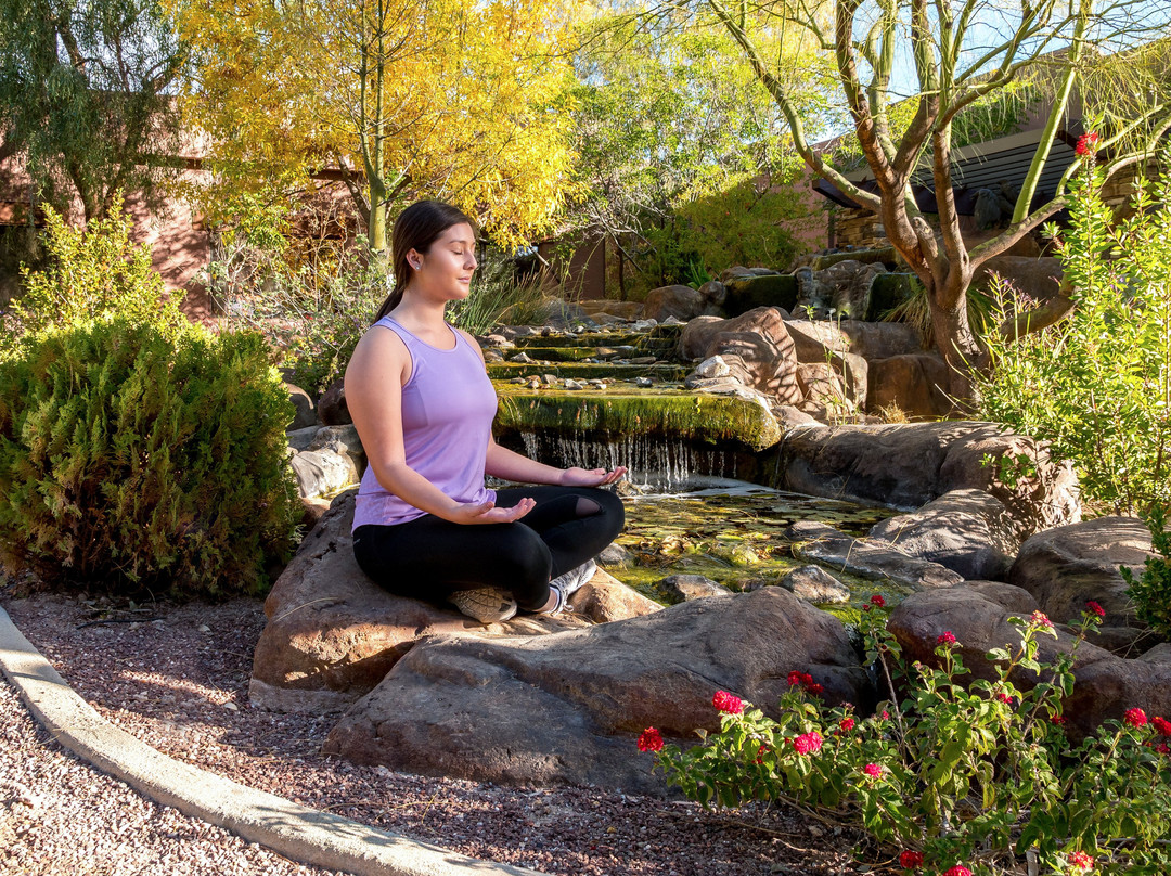 Canyon Ranch Wellness Resort Tucson主图