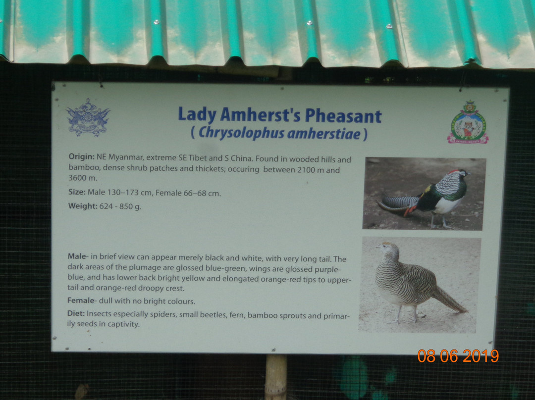 Maenam Wildlife Sanctuary-Namchi必去景点