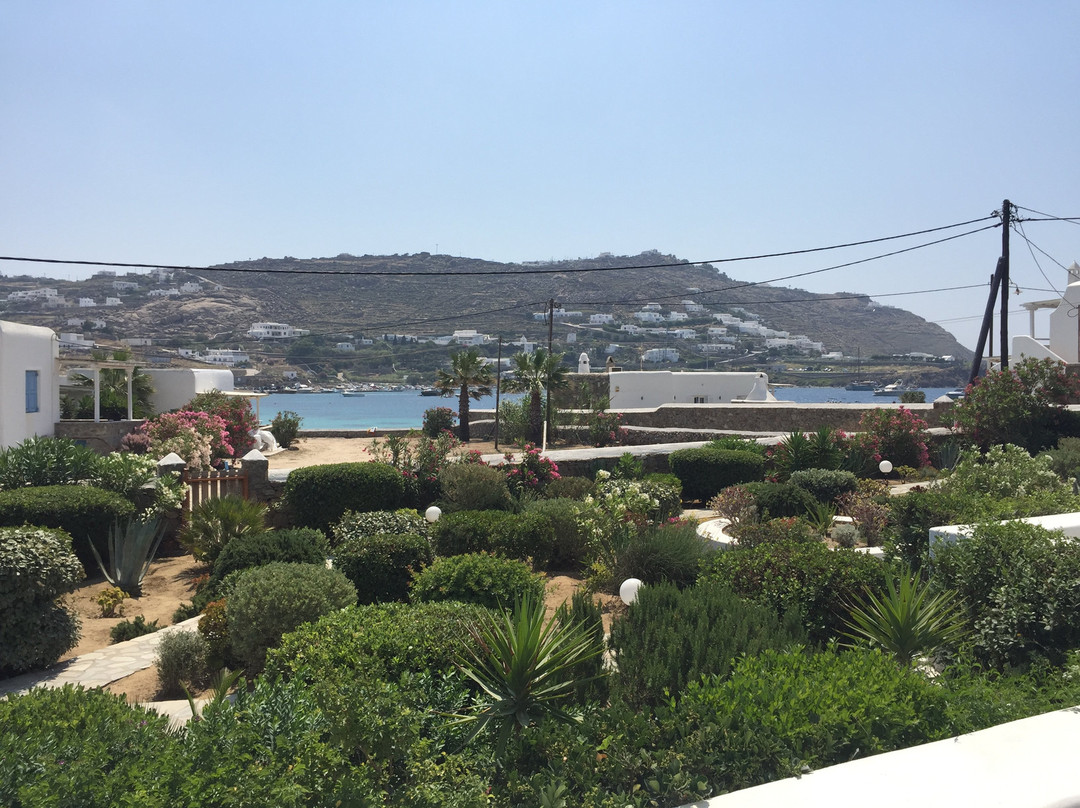 Erato Hotel Mykonos主图