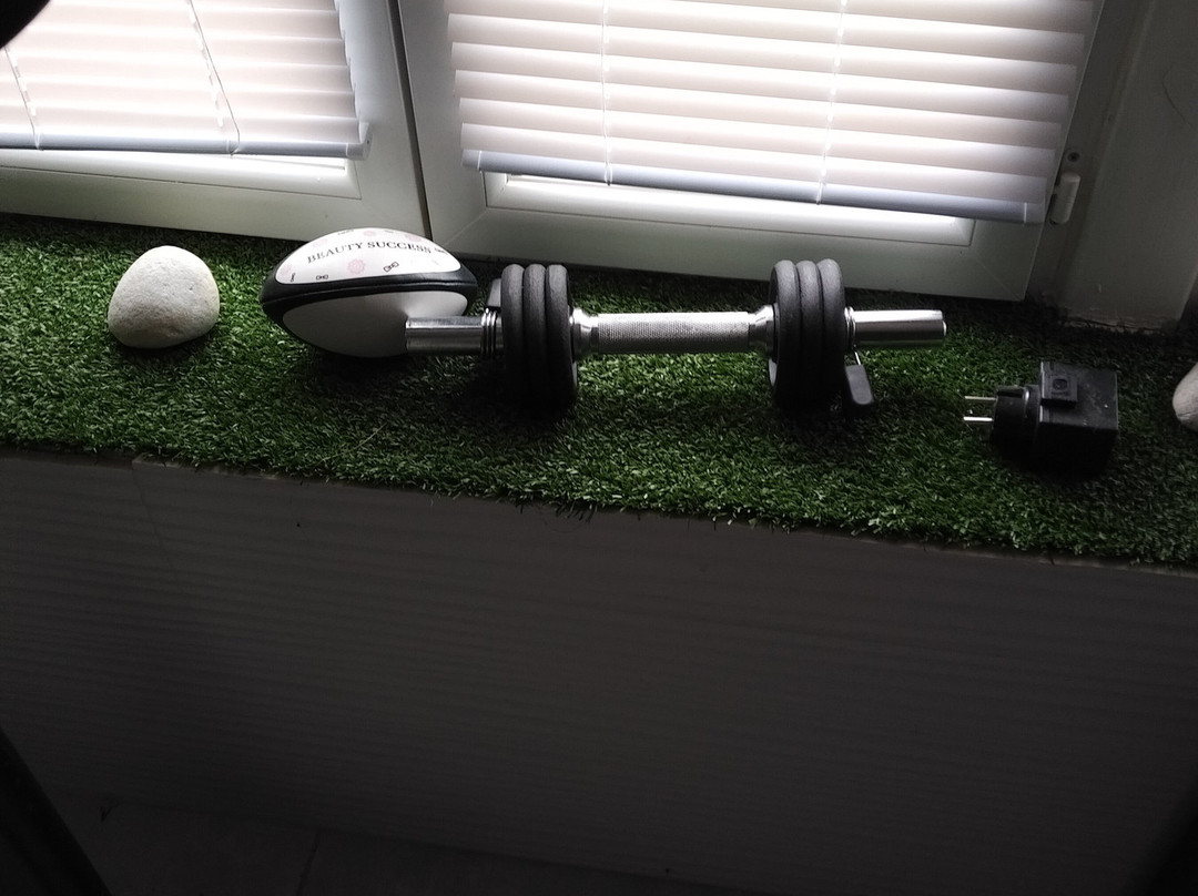 Hotel L'Esturgeon主图