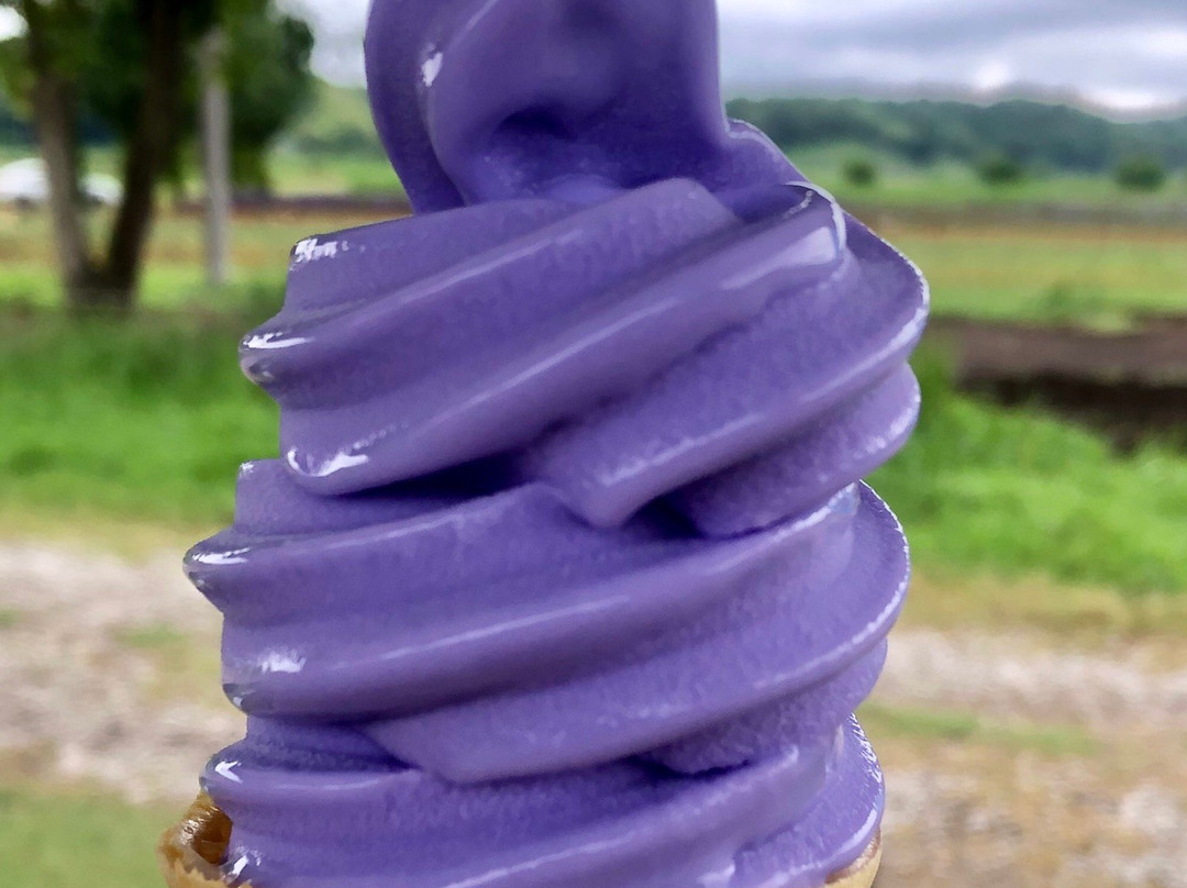 Sakura Lavender Land-佐仓市必去景点