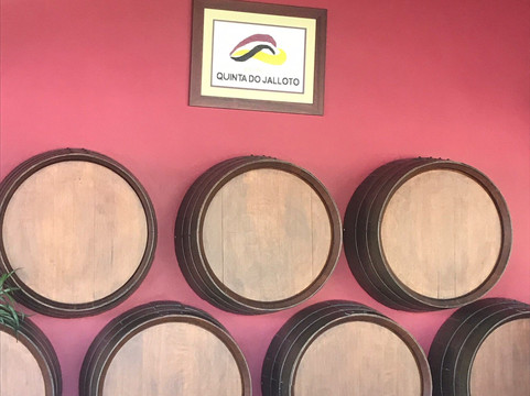 Anetours Transportation and Travel Solutions-马托西纽什必去景点