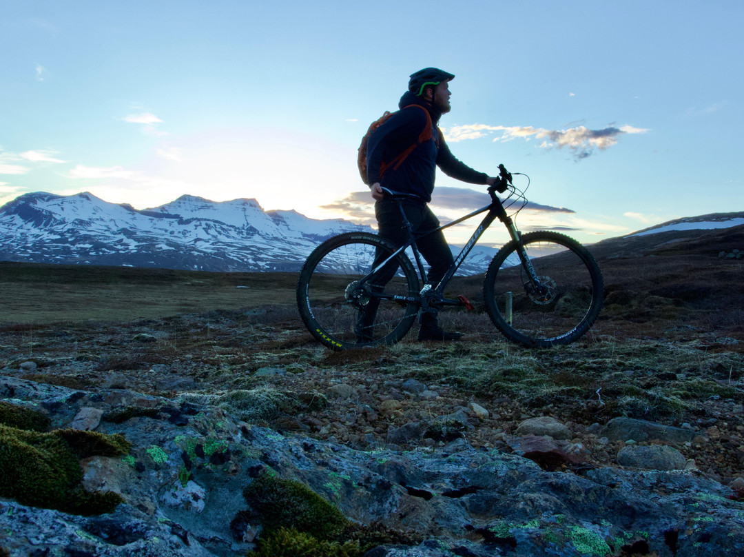 Fjord Bikes景点图片