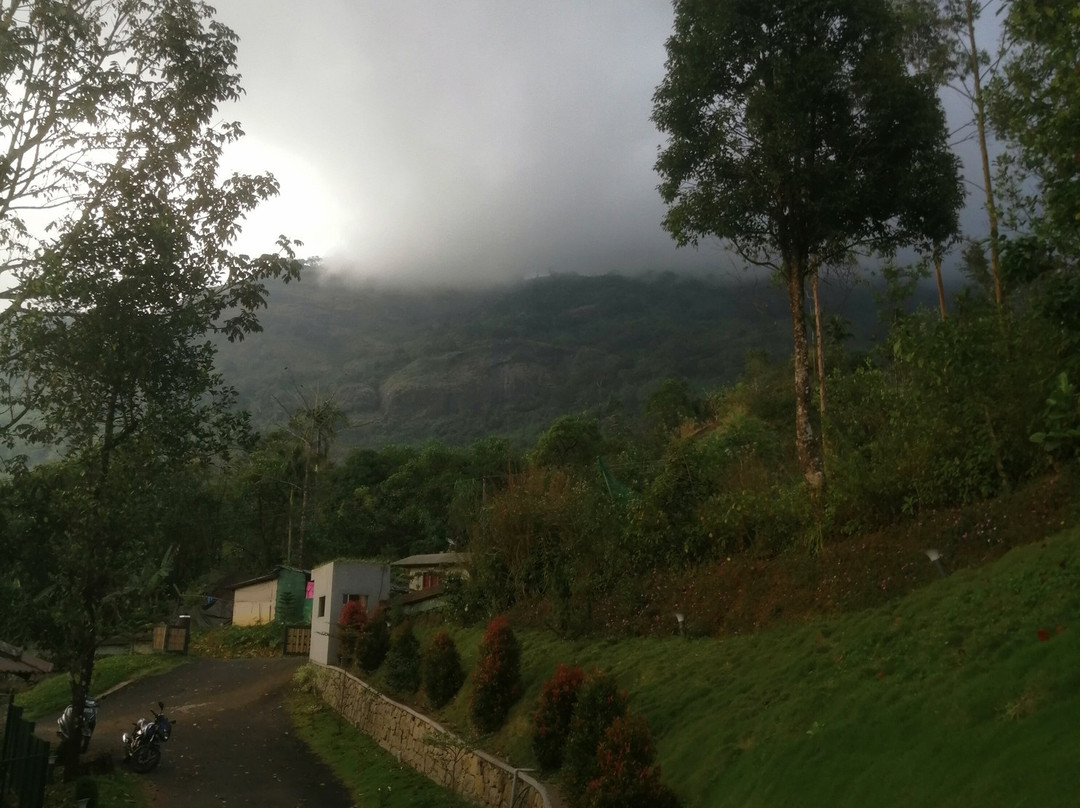 The Wild Trails Clarks Exotica Munnar