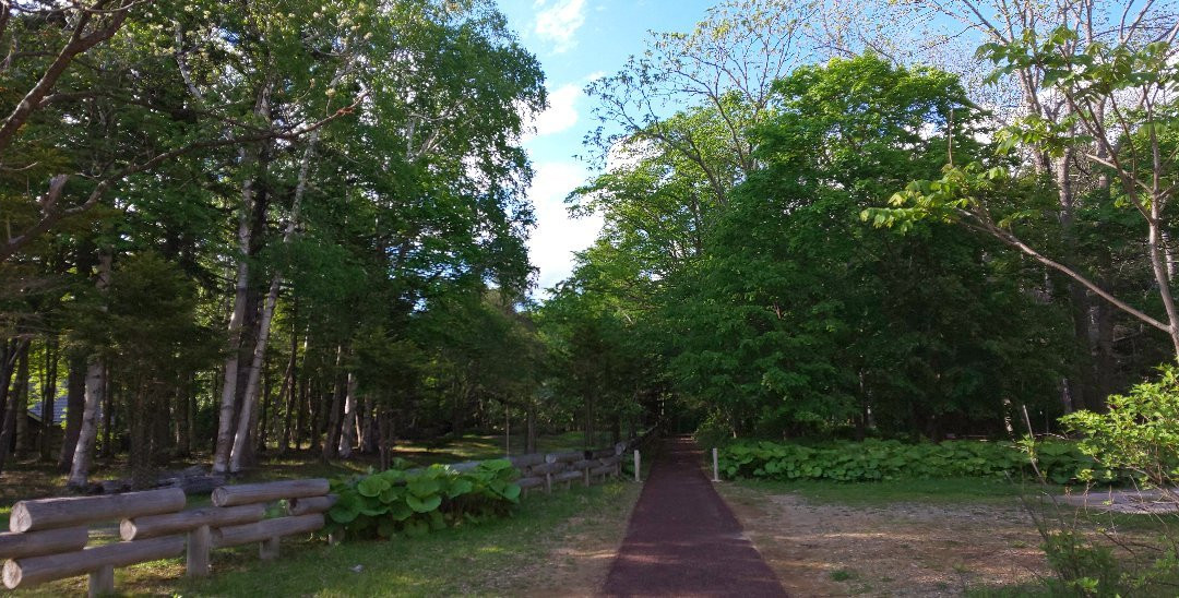 Lake Akan Nature Trail-钏路市必去景点