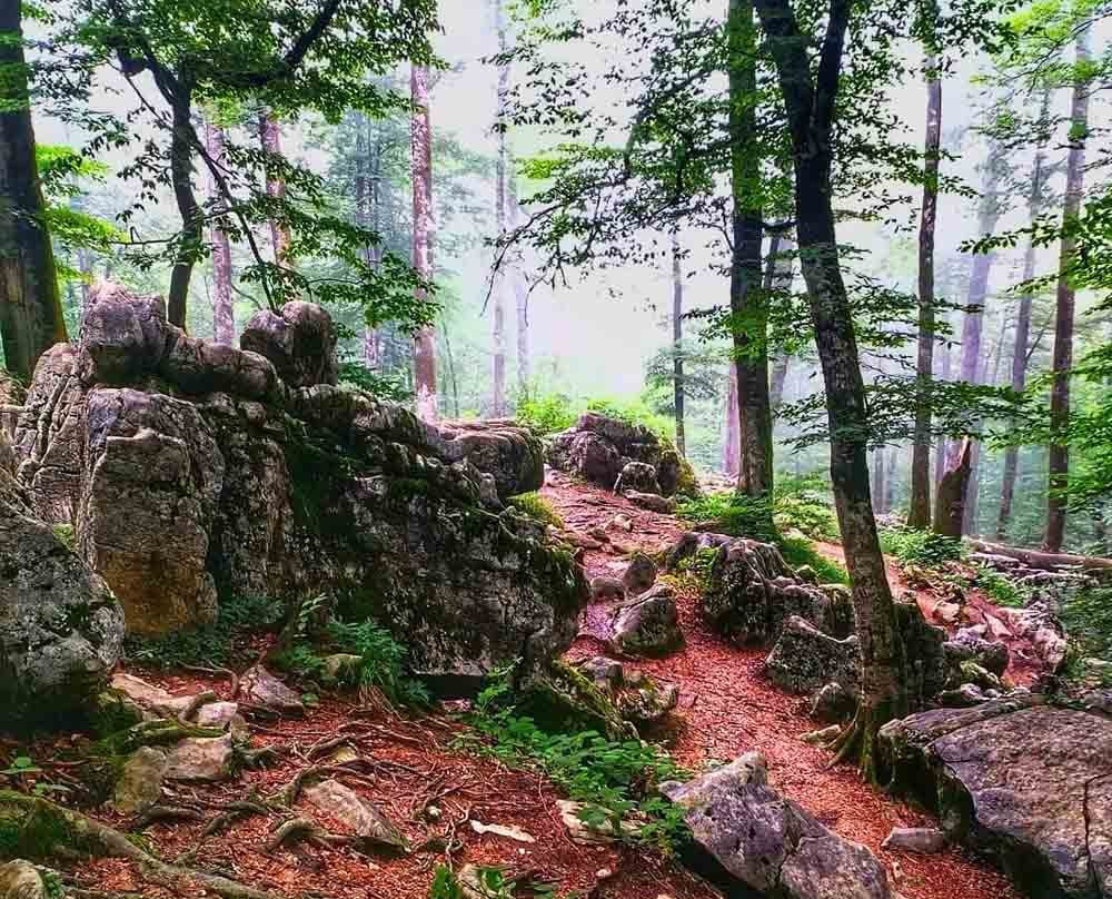 Danial Cave景点图片