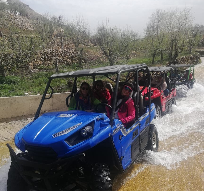 ProX Riding Club-Kfardebian必去景点