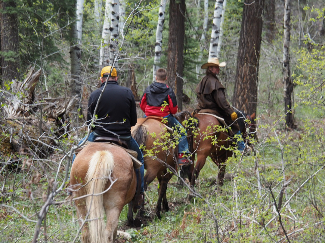 Elk Heart Outfitters-帕戈萨斯普林斯必去景点