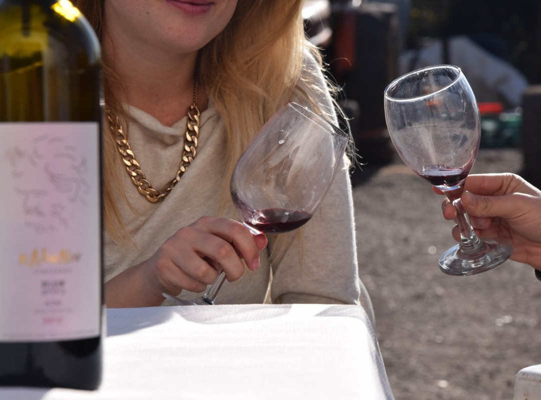 Kahanov Winery Tasting & Brunch-Gedera必去景点