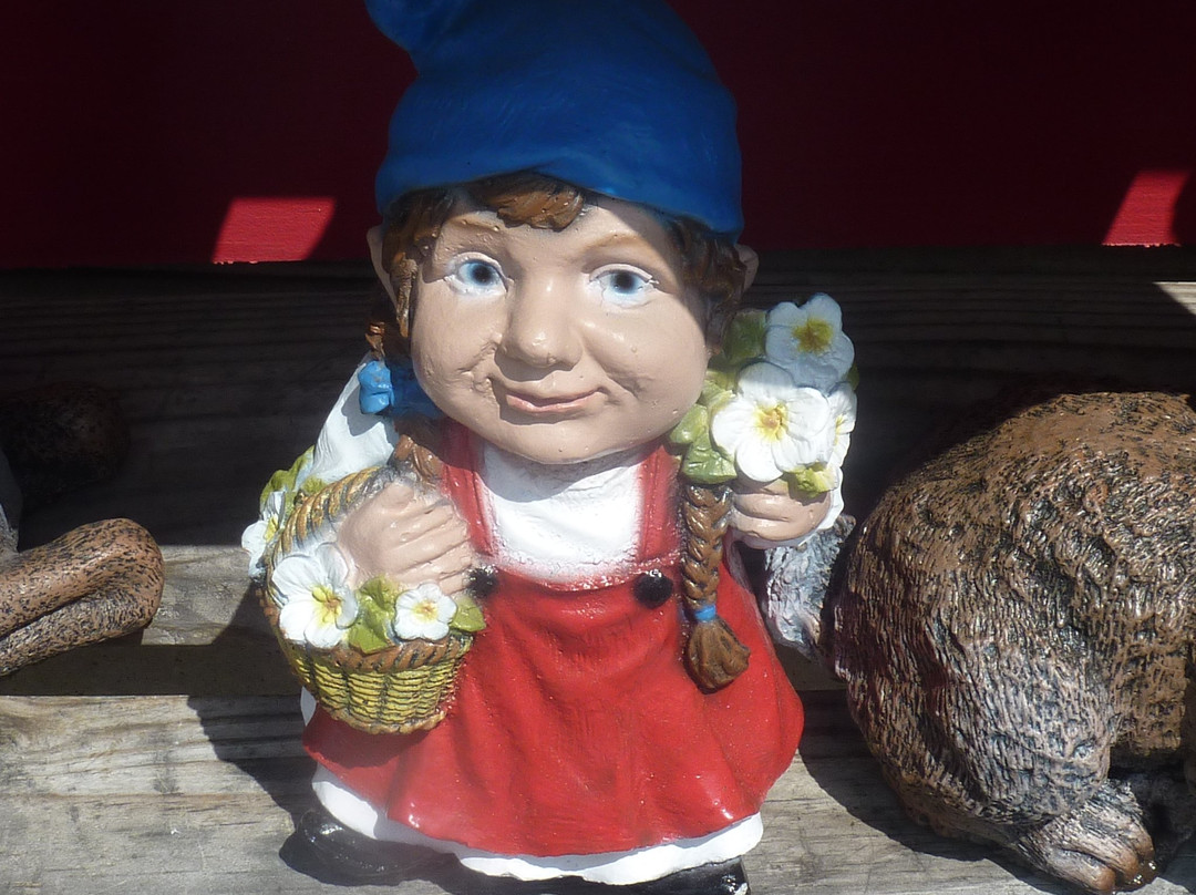 Ole Country Store-皮金福奇必去景点