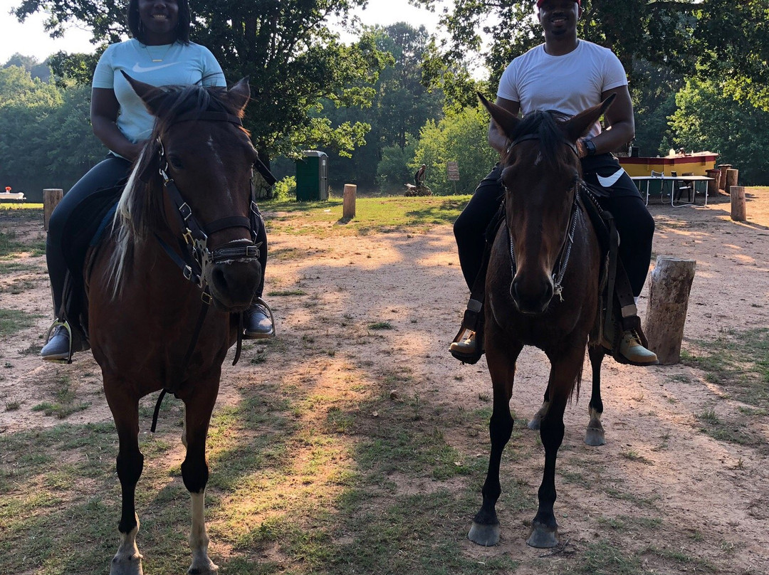 Pure Horse Play-Griffin必去景点