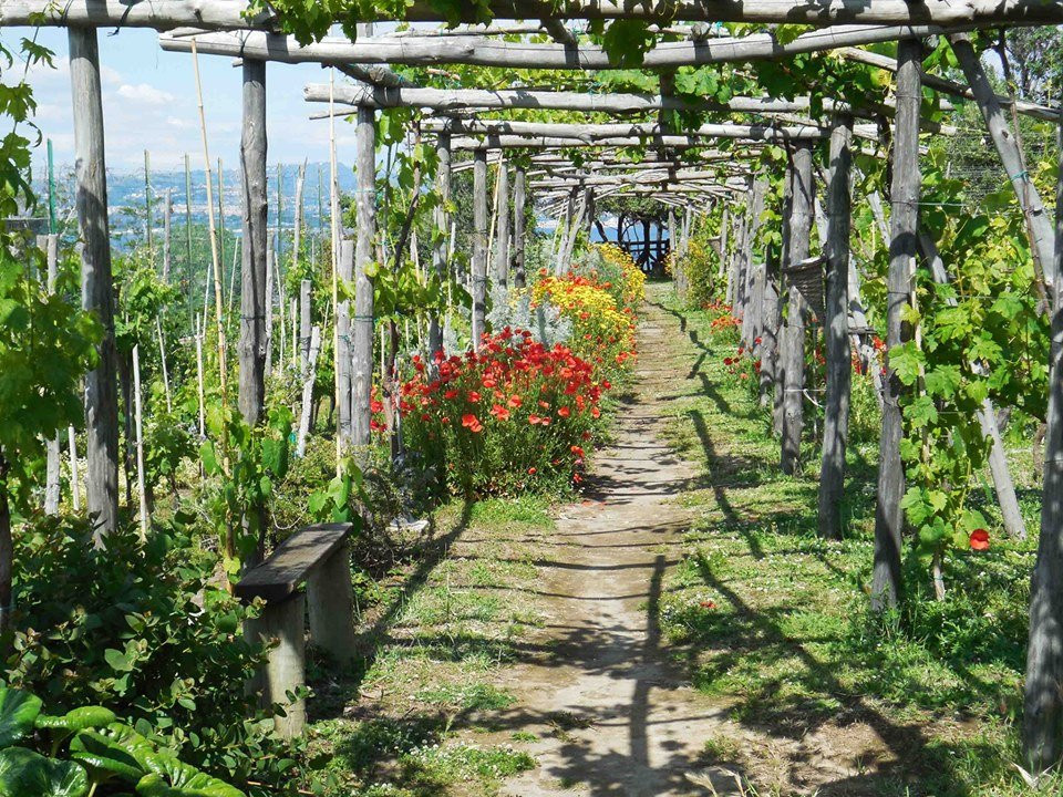 Albergo La Vigna主图