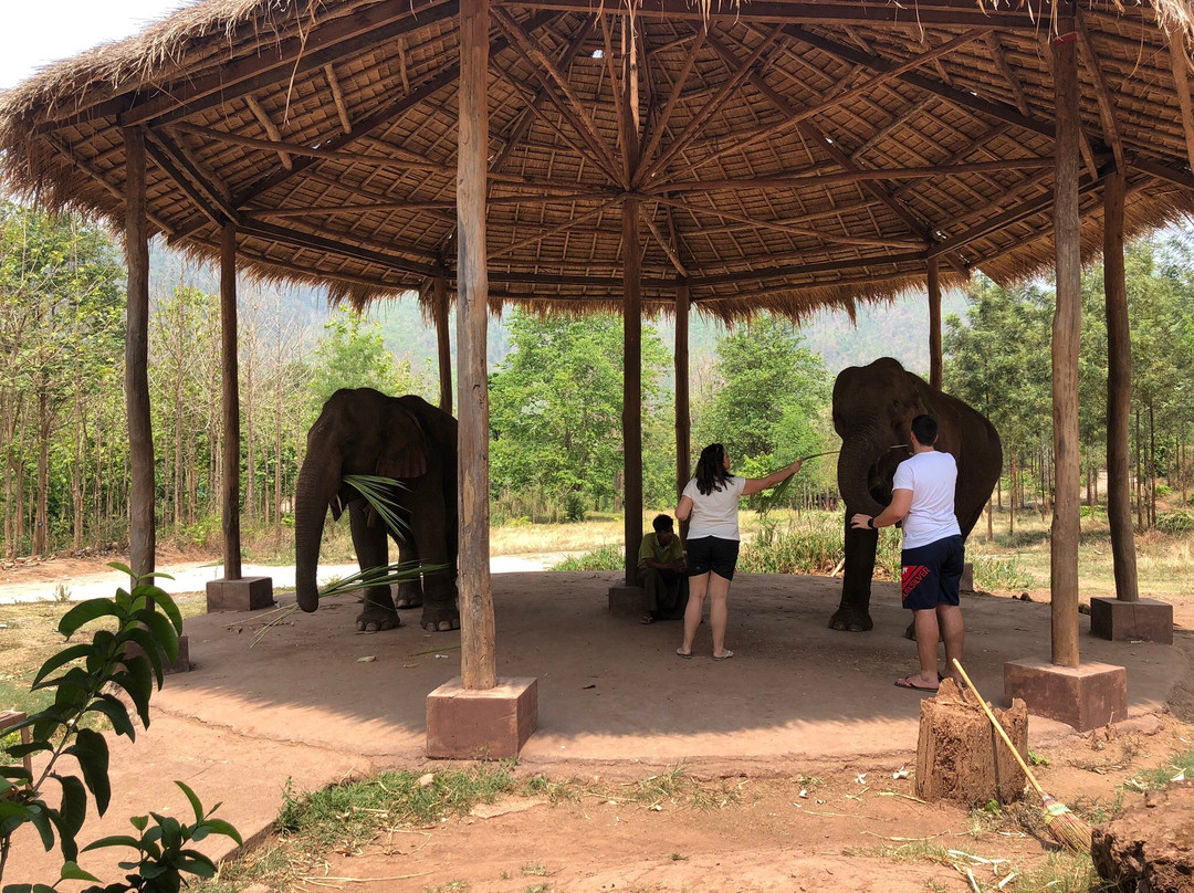 Green Hill Valley Elephant Camp- Day Tours景点图片