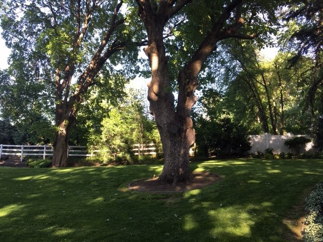 Inn At Blackberry Creek主图