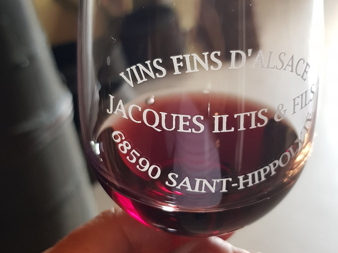 Domaine Jacques Iltis & Fils景点图片