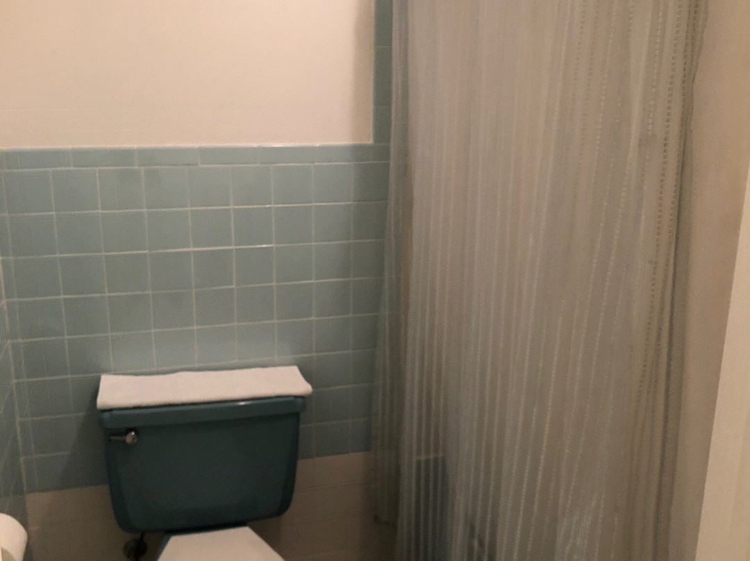 Munger Moss Motel主图