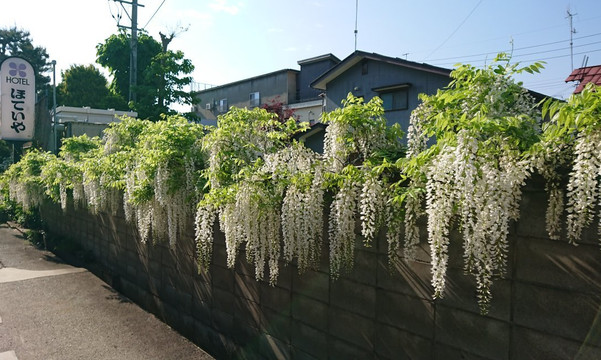 好提亚酒店主图