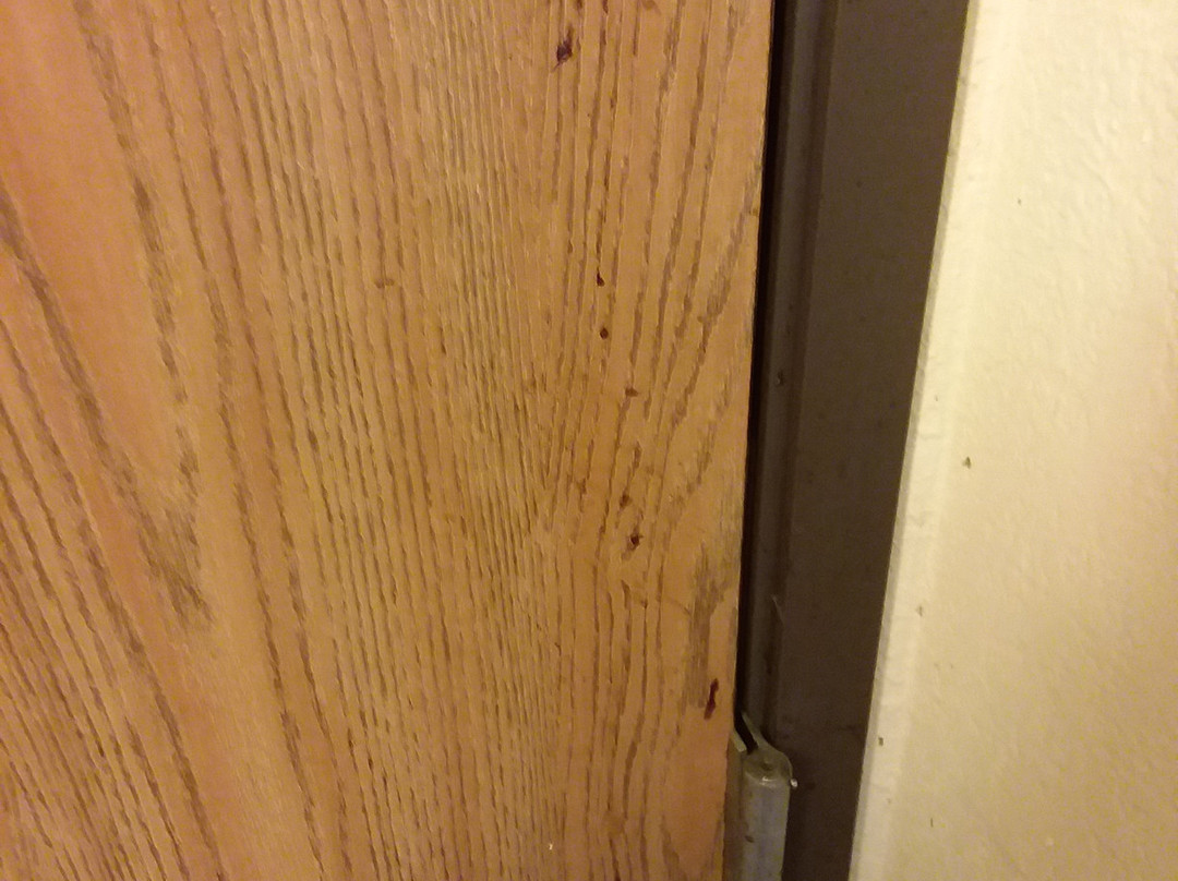 Super 8 by Wyndham Melrose主图