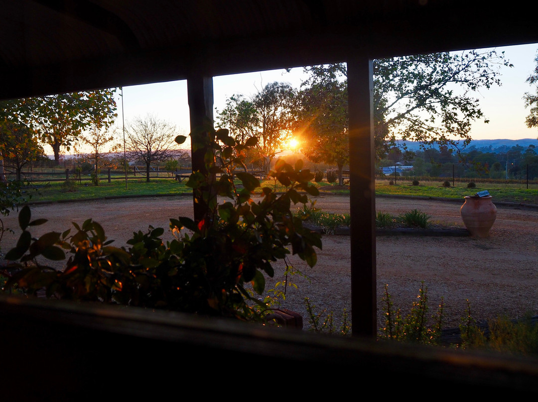 葡萄园汽车旅馆主图