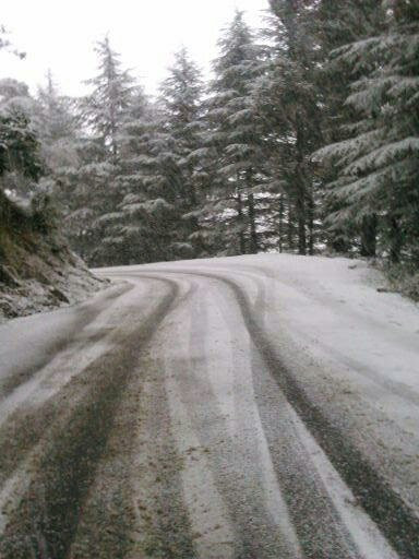 Hotel Megha View主图