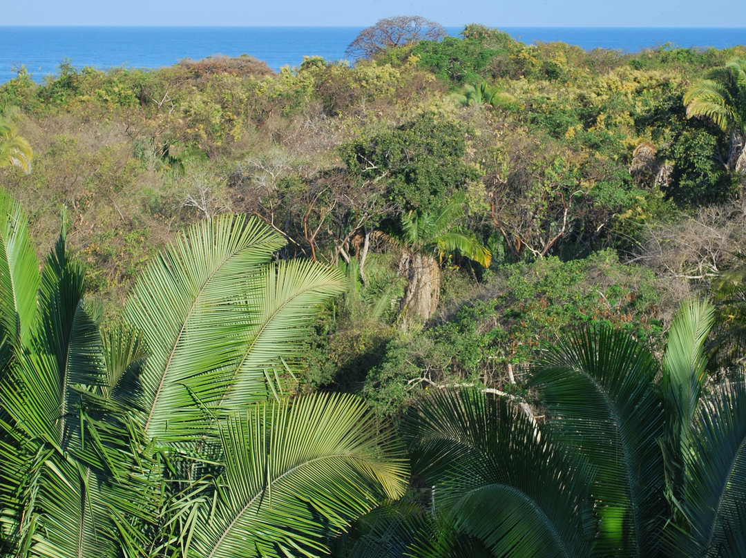 Casa Pacifica B&B主图