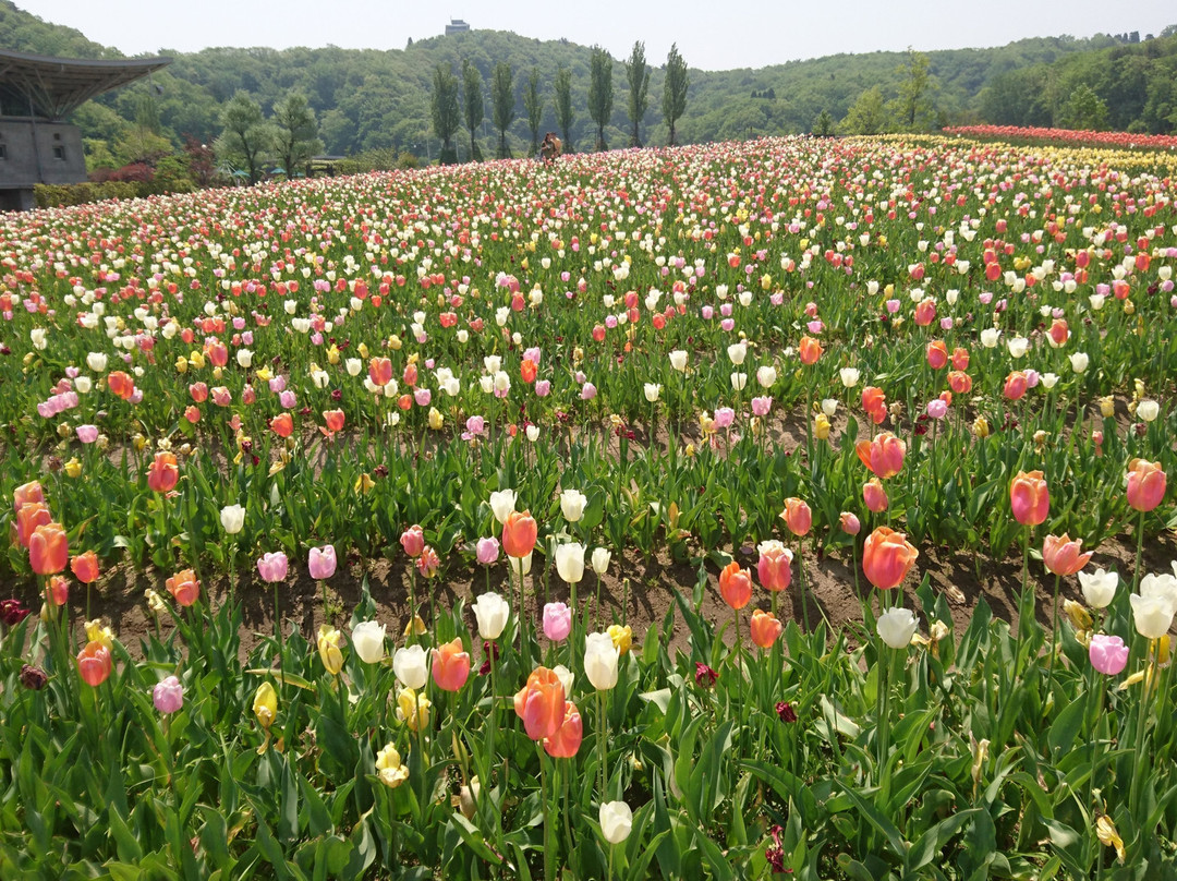 Echigo Hillside Park-长冈市必去景点