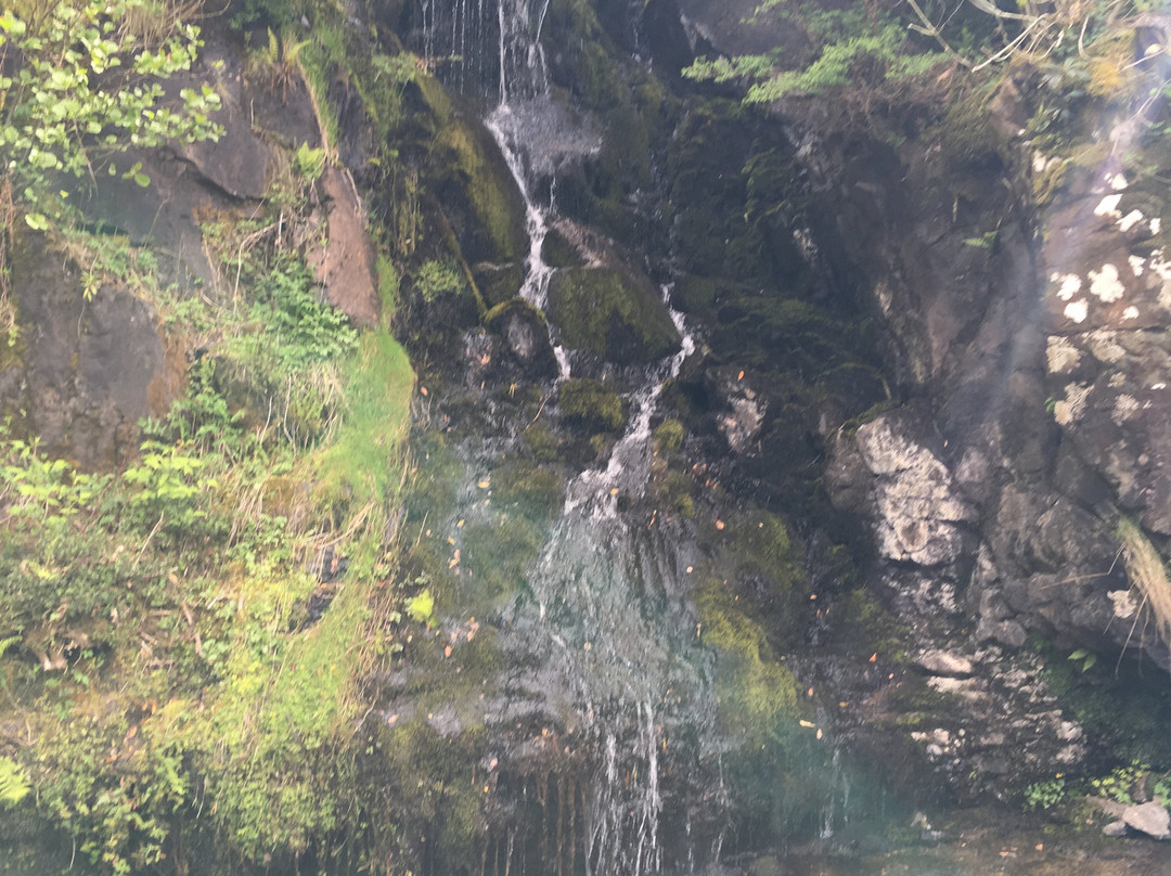 Dunvegan Castle & Gardens-Dunvegan必去景点