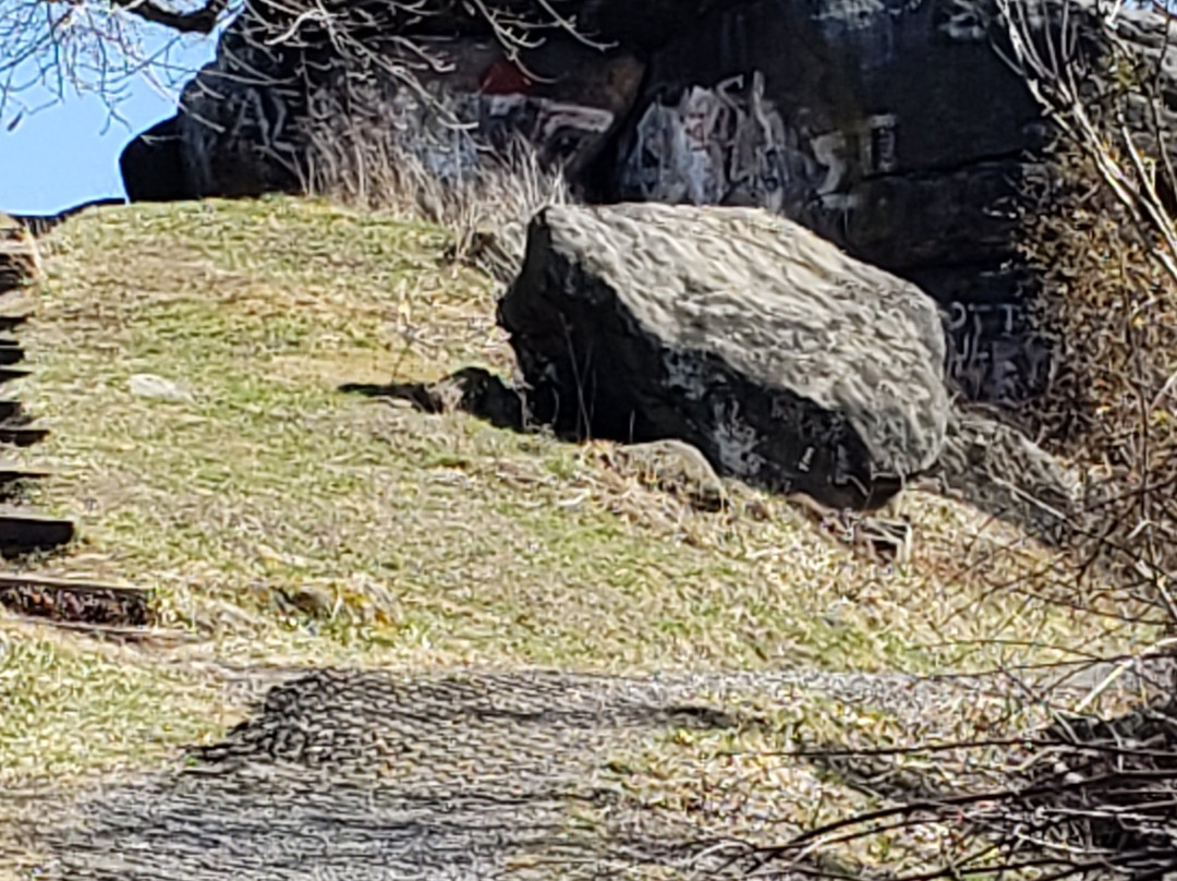 Dorsey's Knob Park景点图片